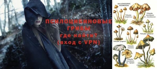 ГАЛЛЮЦИНОГЕННЫЕ ГРИБЫ Балабаново