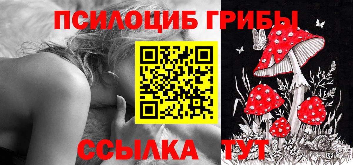 Псилоцибиновые грибы ЛСД  Вход с VPN  Спасск-Дальний 